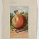 Illustration for article titled Apple